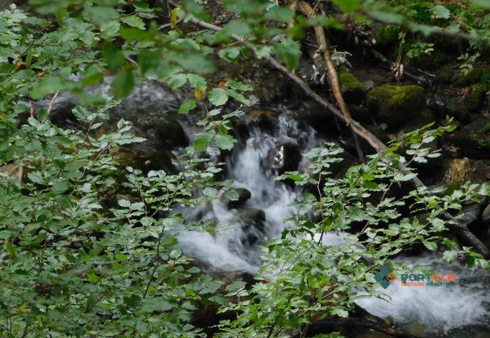 dscn3157.jpg