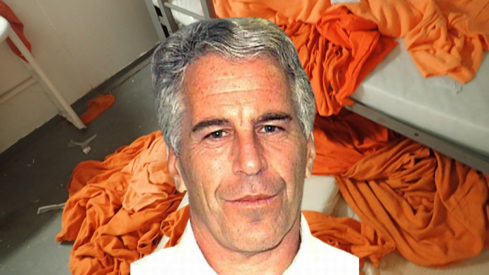untitled-design-18.png