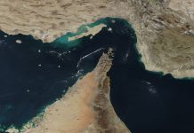 Цената на нафтата продолжи да паѓа откако Трамп ги откажа планираните напади врз Иран