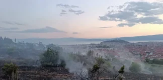 Спречено е ширењето на пожарот во близина на охридската населба Бараки