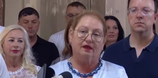 Јаневска: Во процес на затворање се уште пет или шест институти, а се прави мониторниг и во пет универзитети